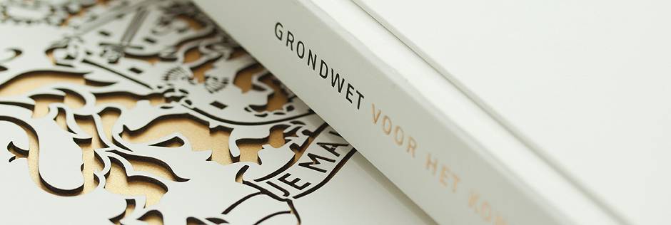 Toetsing van de constitutionele procedure
