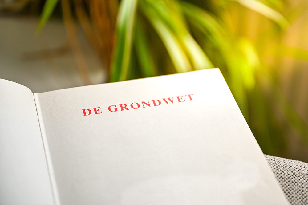 Een Grondwetdag in de Tweede Kamer: dat smaakt naar meer!